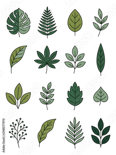 Set of green leaves from different plants and trees isolated on transparent background