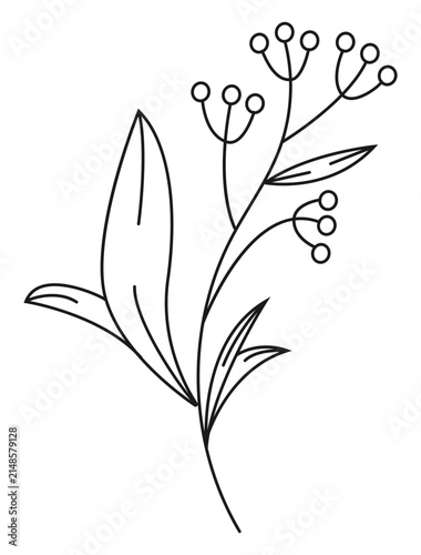 Minimalist botanical branch line art vector logo design. Elegant leaves twig outline illustration for beauty salon, spa, natural organic cosmetics branding, modern aesthetic layout