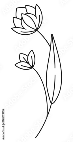 Minimalist lotus flower line art vector logo design. Elegant exotic blossom outline illustration for beauty salon, spa, natural organic cosmetics branding, modern aesthetic design, or tattoo.