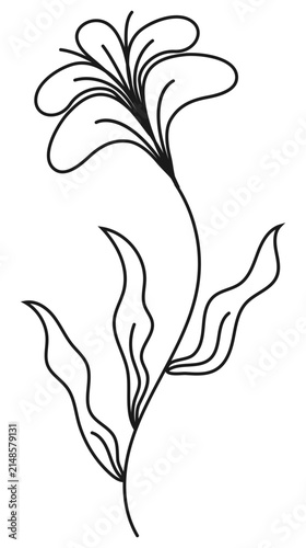 Minimalist lily flower line art vector logo design. Elegant orchid blossom outline illustration for beauty salon, spa, natural organic cosmetics branding, modern aesthetic layout, or tattoo.