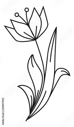 Minimalist tulip flower line art vector logo design. Elegant lily blossom outline illustration for beauty salon, spa, natural organic cosmetics branding, modern aesthetic card, or poster.