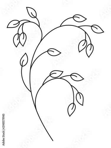 Minimalist botanical branch line art vector logo design. Elegant oats twig outline illustration for beauty salon, spa, natural organic cosmetics branding, modern aesthetic card