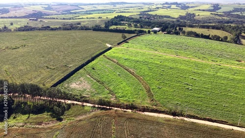 Aerial view of agricultural fields and farmland in a sunny day