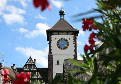 Das Schwabentor in Freiburg zwischen Oleanderblüten
