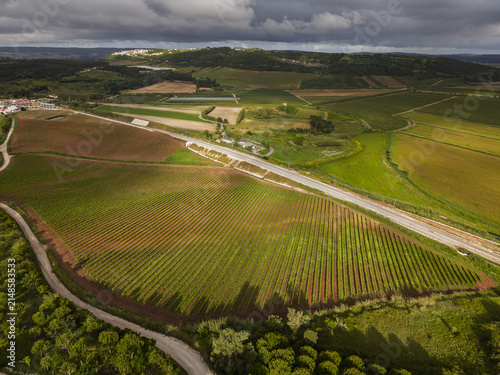 Aerial view of lush vineyards and rolling hills surrounding the historic town of Obidos, with rows of vines and a winding road under a cloudy sky in Obidos, Leiria District, Portugal.