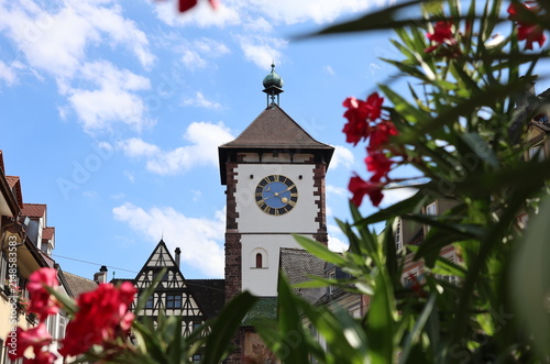Das Schwabentor in Freiburg zwischen Oleanderblüten