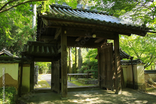 愛媛県宇和島市　大乗寺　出口