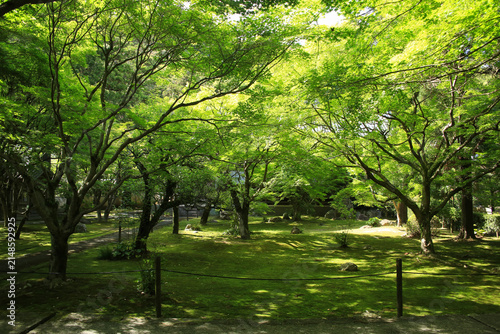 愛媛県宇和島市　大乗寺