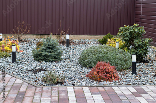 Modern landscape design in a backyard featuring ornamental conifers, barberry, and rhododendron bushes on grey gravel mulch with garden lights and paving stones.