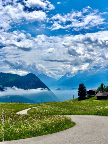 Winding road through green alpine meadow with mountain landscape view in Switzerland.