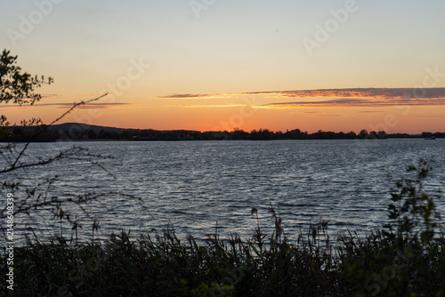 Golden Sunset over Altmühlsee Framed by Lakeside Vegetation