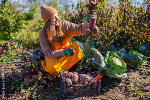 Konstfotografi Farmer harvesting beetroot in fall garden