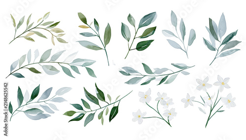 Collection of watercolor botanical leaf and flower illustrations
