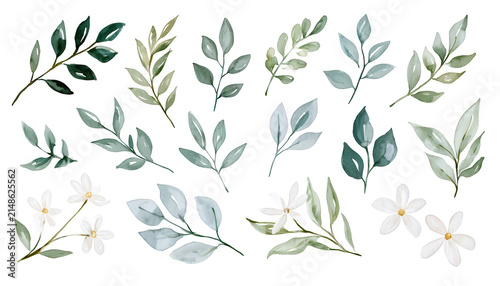 Collection of Hand Painted Watercolor Botanical Leaf Illustrations
