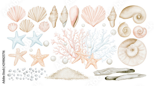 Collection of Watercolor Marine Elements and Seashells