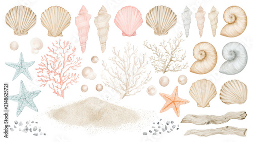 Watercolor Collection of Marine Seashells and Coral Elements