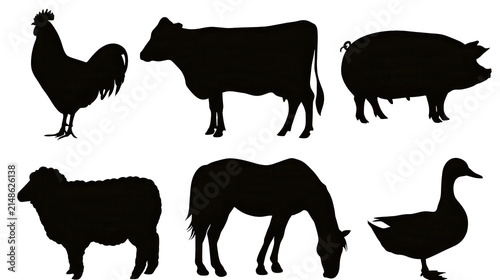 Set of six black farm animal silhouettes on white background