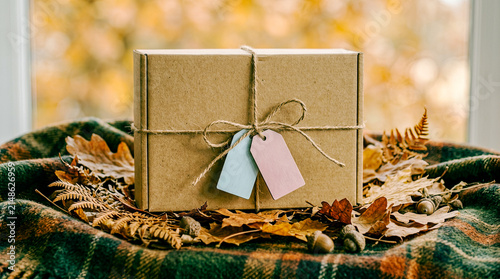 Brown gift box with blue and pink tags on autumn leaves background Concept of Gender Reveal Invitation  