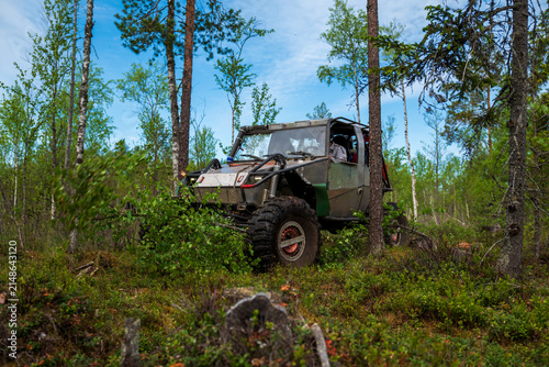View of a custom off-road vehicle driving through a dense forest with birch trees and lush undergrowth in the Ladoga region, Sortavala, Respublika Kareliya, Russia.