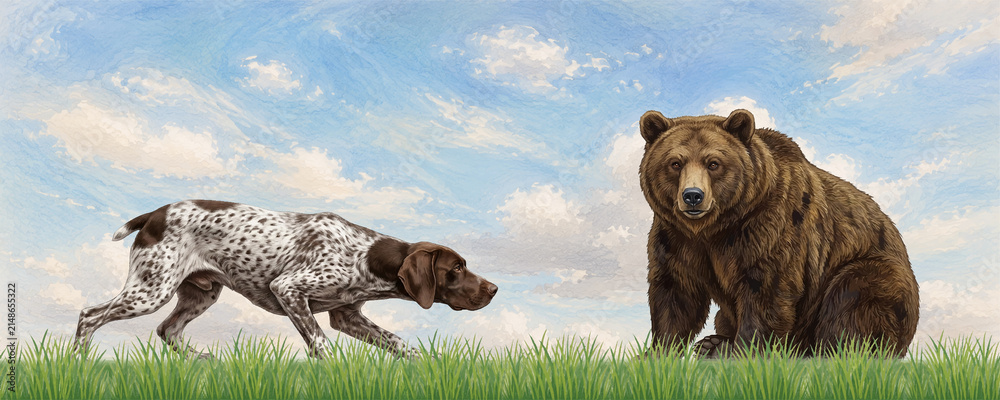 Naklejka premium Pointer Dog Stalking Brown Bear in Grassy Field Illustration