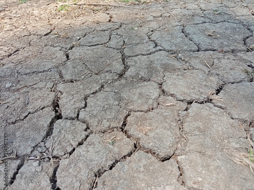 dry, cracked soil on the ground, showcasing deep fissures caused by severe drought and heat. The rough, parched earth texture highlights the harsh environmental conditions and water scarcity.