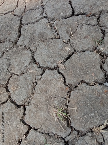 dry, cracked soil on the ground, showcasing deep fissures caused by severe drought and heat. The rough, parched earth texture highlights the harsh environmental conditions and water scarcity.