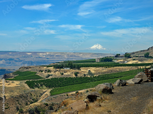 View of Mount Hood from Maryhill State Park, Washington