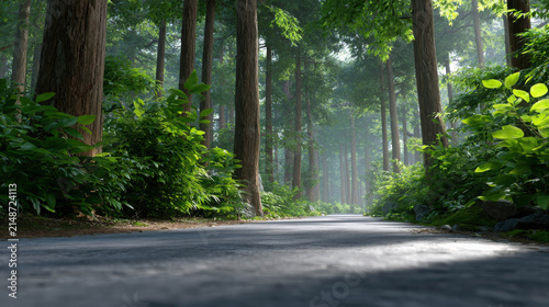 A peaceful forest road bathed in dappled sunlight, surrounded by tall trees and lush greenery, inviting exploration and contemplation