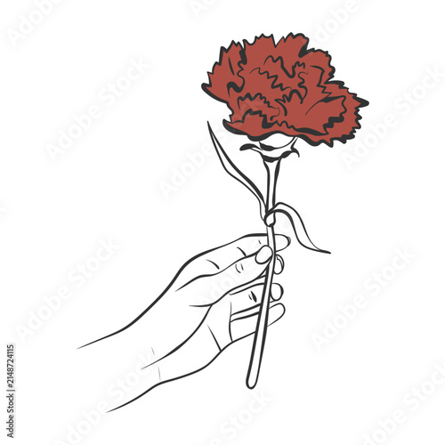 Vintage hand-drawn ink drawing of carnation flower held by hand. Whimsical doodle vector of traditional Japanese Mother's Day symbol.