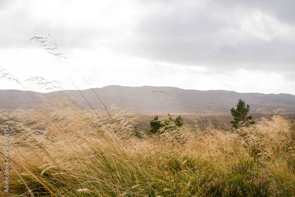 Obraz premium clouds in the mountains