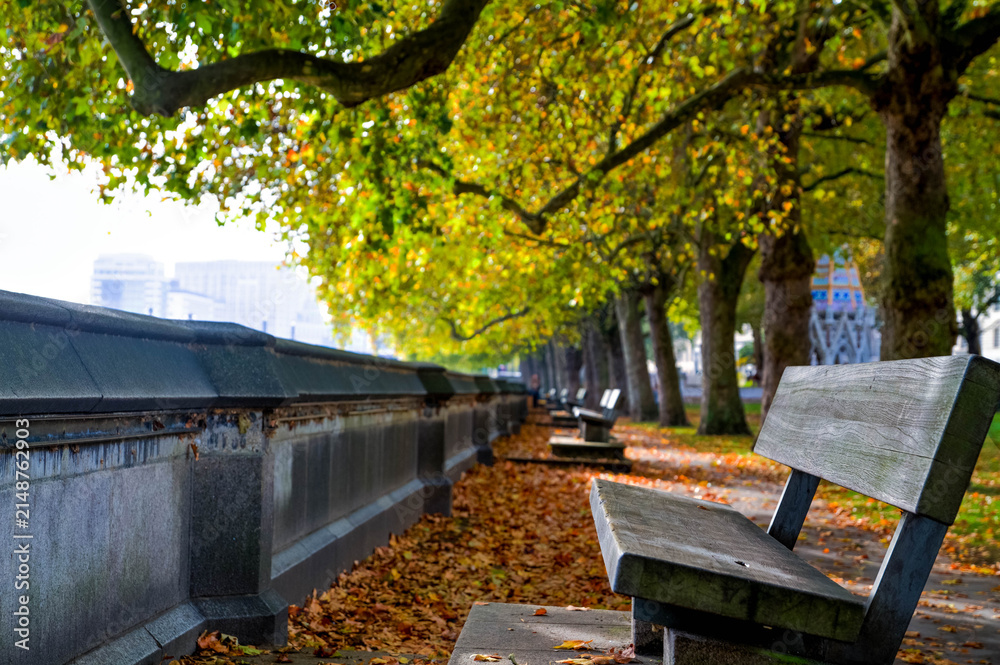 Fototapeta premium bench in the park