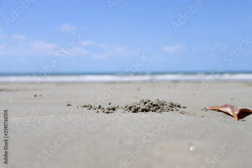 Принти на полотні Thornton Beach Daintree Queensland Australia