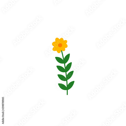 Flower Doodle