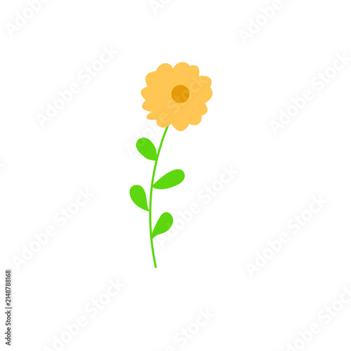 Flower Doodle