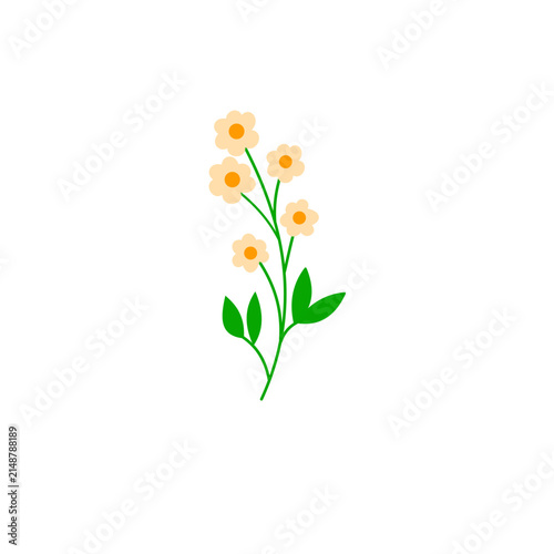 Flower Doodle
