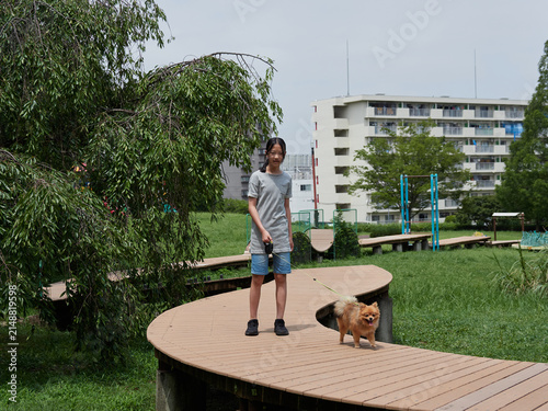 真夏の公園で可愛いポメラニアンの子犬を連れて遊具施設で遊んでいる夏休み中の子供の姿