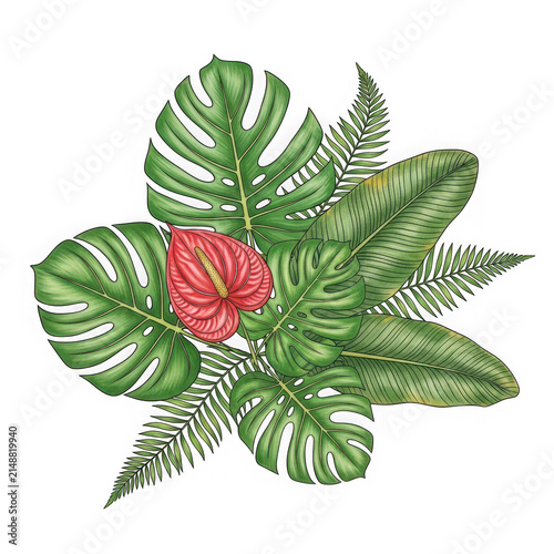 Tropical Foliage Arrangement with Red Anthurium Flower.