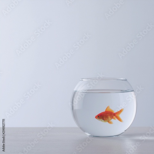 金魚