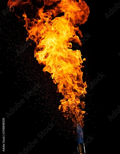 Intense Fire Flame Burning in Darkness.