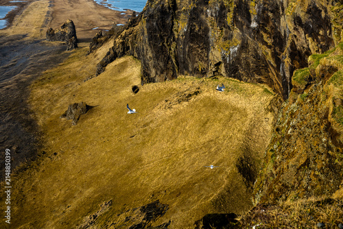 Iceland Dyrholaey Arch and Lighthouse and Black Sand Beach