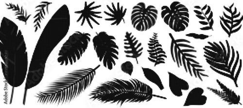 Set of black tropical leaf silhouettes and plant shapes