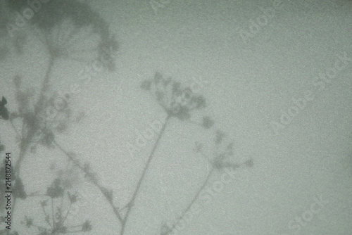 bright paper background with botanical shadows , material for scrapbooking