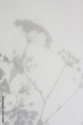 bright paper background with botanical shadows , material for scrapbooking