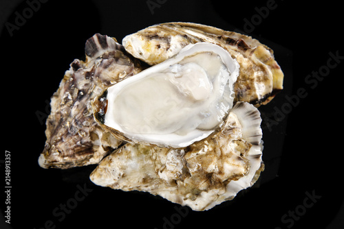 Fotografía Fresh Raw Oysters Studio Shot on Black Background - Premium Seafood Shellfish fo