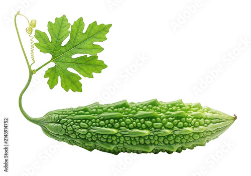 Bitter melon with leaf and tendril on transparent background bitter melon gourd