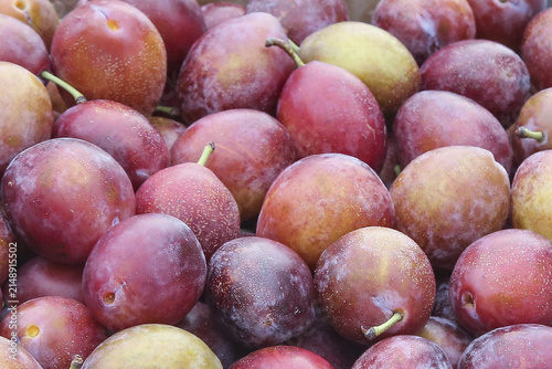 Fresh Juicy Plums with Water Droplets - Colorful Stone Fruit Background