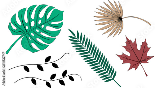 Illustrated collection of diverse leaves in flat design style with showcases minimalist arrangement five distinct leaves flat artistic style against neutral background
