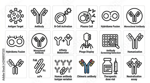 Set of medical icons showing antibody development and research process