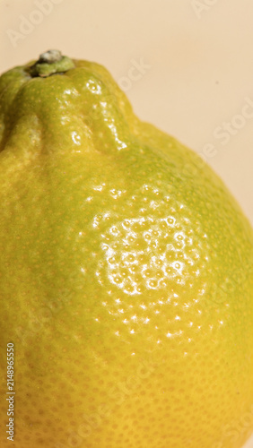 Fresh yuzu citrus fruit with glossy bumpy peel resting on natural surface under warm sunlight