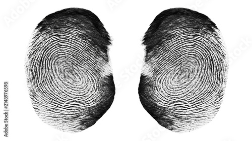 Two black fingerprints with swirling patterns